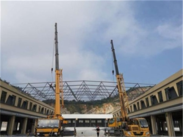 临安仓储物流网架生产厂家案例